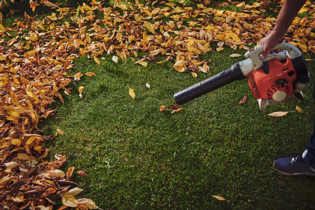 The best cordless leaf blowers 2021: models from Stihl ...