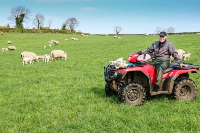 Nigel Kee checking a field of ewes and lambs on his farm near Douglas Bridge, Co Tyrone.